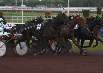 Bleff Dipa si aggiudica il Derby di Trotto.