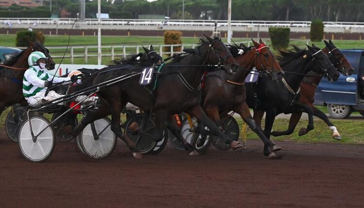 Bleff Dipa si aggiudica il Derby di Trotto.