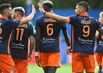 Protetto: Pronostico Gollo 15/01: terno sopra quota 4,00