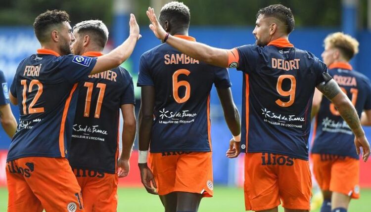 Protetto: Pronostico Gollo 15/01: terno sopra quota 4,00