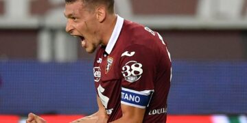 Belotti
