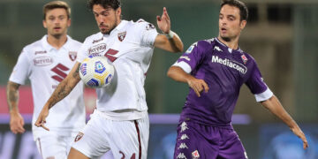 Protetto: Gollo: il Video Clip con i pronostici e l’elaborazione del 29/01