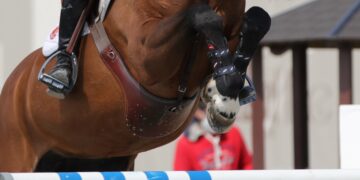 Equitazione, il Global Champions Tour Madrid 2021, fa tappa a Madrid.