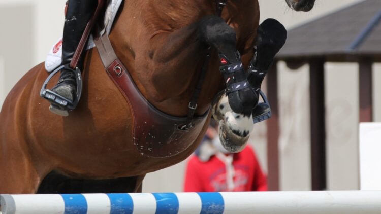 Equitazione, il Global Champions Tour Madrid 2021, fa tappa a Madrid.