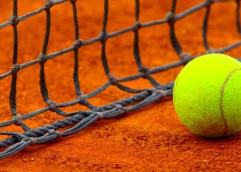 Ranking “Pure Enjoy”