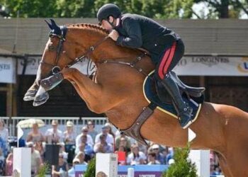 Salto ostacoli, Gaudiano pronto per il debutto.