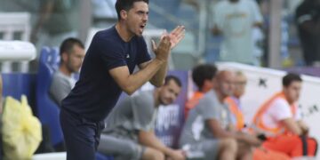 Serie A, al Tardini in scena Parma-Torino. Le info sul match