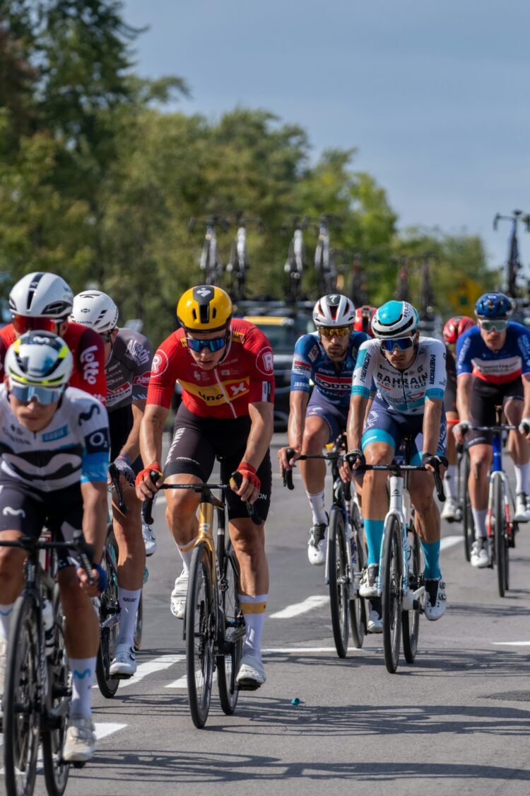 Dwars door Vlaanderen 2026