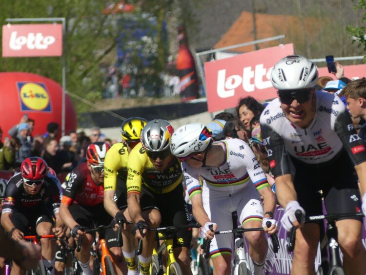 Giro delle Fiandre 2026