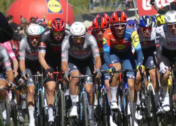 In Flanders Fields 2026