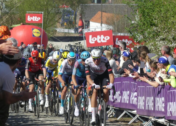 Freccia del Brabante 2026